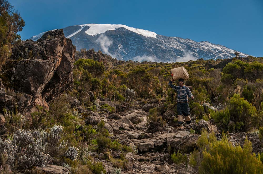 Five distinct climatic zones of Kilimanjaro