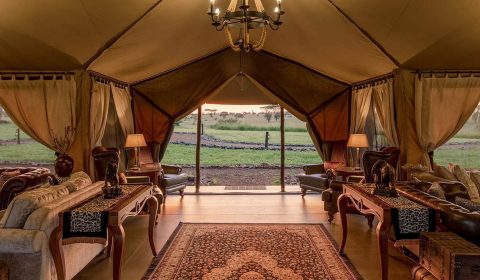 OLESERAI_TURNER-31-1