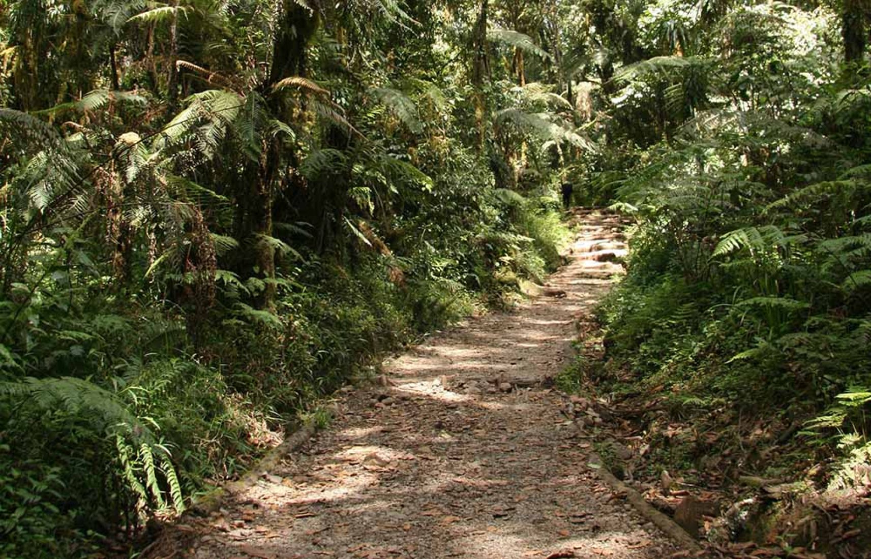 14609690 - mt kilimanjaro climbing expedition in tanzania, africa