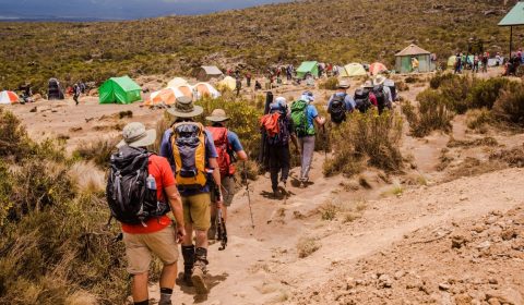 route 1 (Medium) route 1 (Medium)